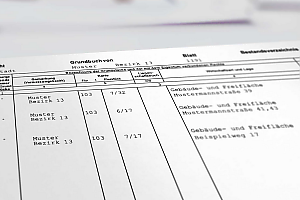 Eintrag im Grundbuch