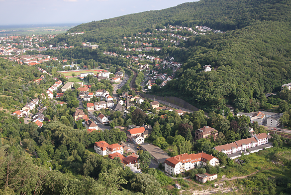 Luftbild Neustadt Immobilienbewertung f�r Neustadt an der Weinstra�e, Landau in der Pfalz & Umgebung