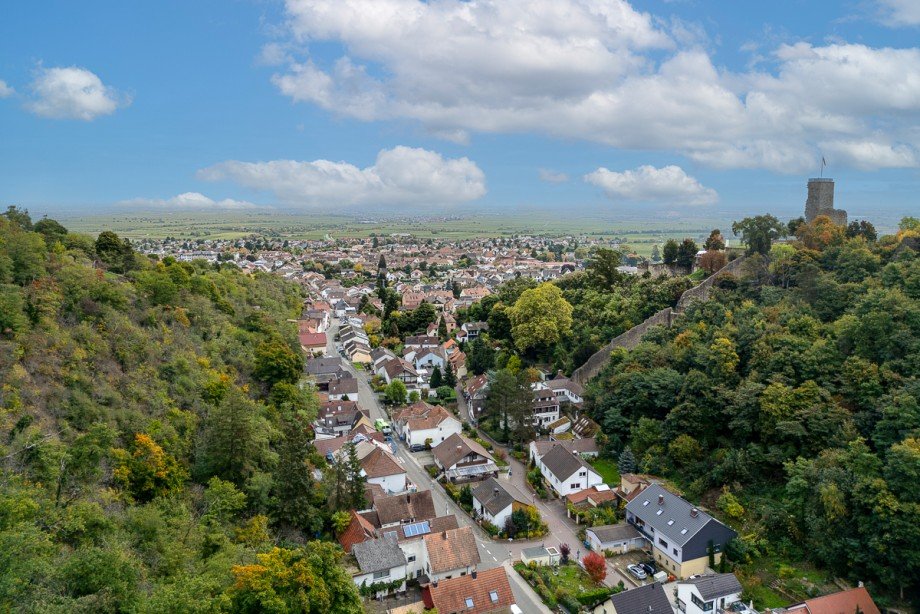 Ausblick Haus Wachenheim