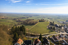 Ausblick 2 Filetst�ck in Burrweiler � 701 m� Baugrundst�ck mit spektakul�rem Blick �ber die Weinberge