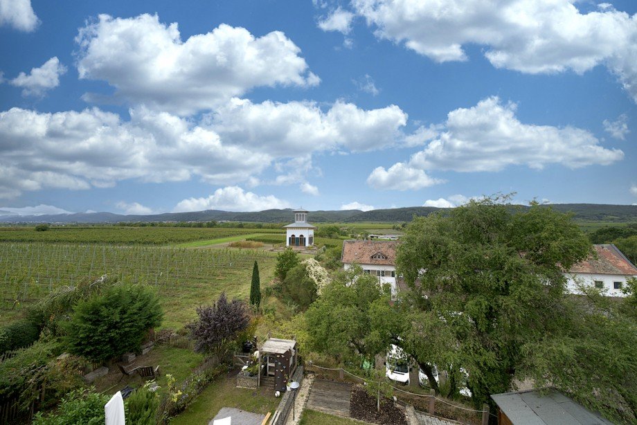 Aussicht vom 2.OG Haus Ruppertsberg