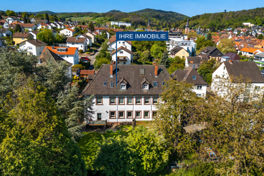 Drohne Haus Bad Bergzabern