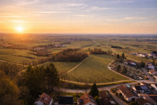 Ausblick Filetst�ck in Burrweiler � 701 m� Baugrundst�ck mit spektakul�rem Blick �ber die Weinberge
