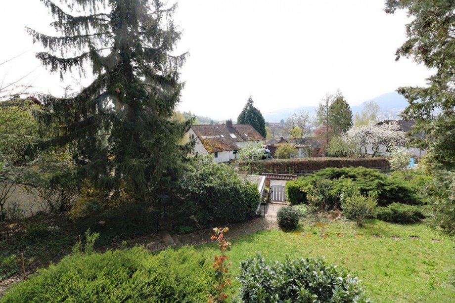 Aussicht Haus Albersweiler