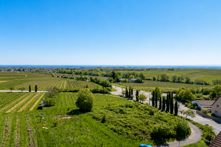 Aussicht Gleisweiler Gleisweiler Etagenwohnung Gro�z�gige Eigentumswohnung in begehrter Aussichtslage