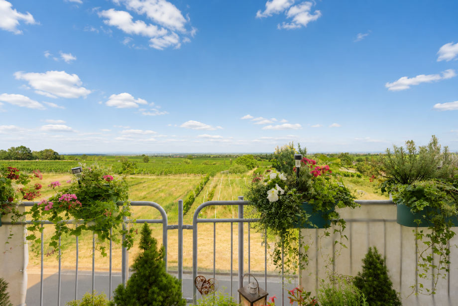 Balkon DG Gleisweiler Wohnung Gleisweiler
